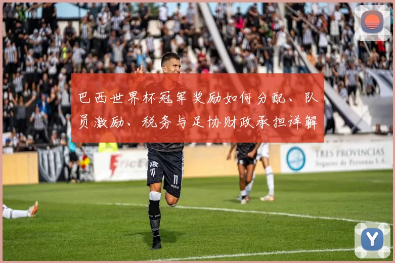 巴西世界杯冠军奖励如何分配、队员激励、税务与足协财政承担详解