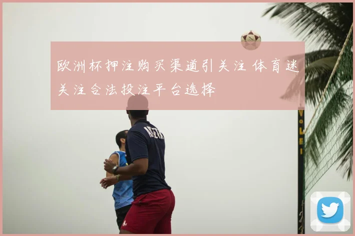 欧洲杯押注购买渠道引关注 体育迷关注合法投注平台选择